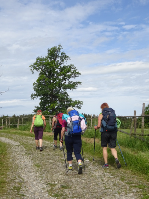 Pilgern in Lebensübergängen